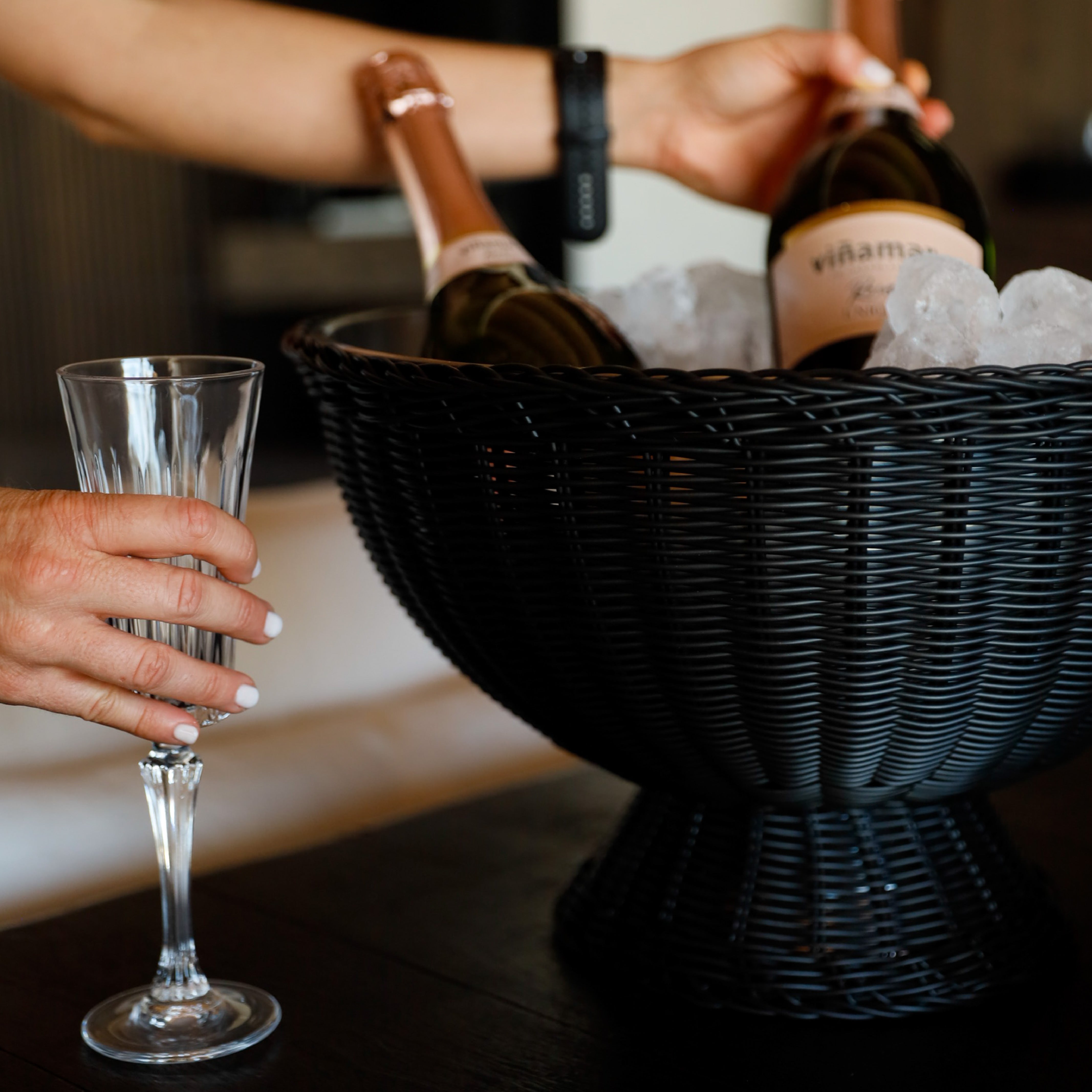 Champagnera Black